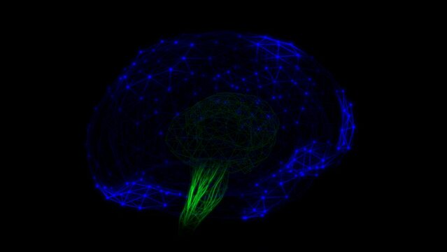 abstract brain motion graphic wireframe rotate loop 360 degree . 4K animation rendered in black backgroud.