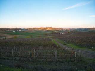 Fototapeta na wymiar Hills planted with vines in late autumn. Piedmont Region, Italy.
