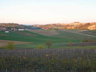 Hills planted with vines in late autumn. Piedmont Region, Italy.