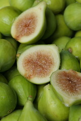 Conservas y vegetales