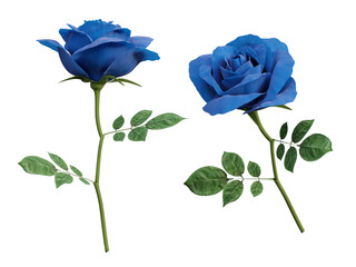 3d blue rose flower
