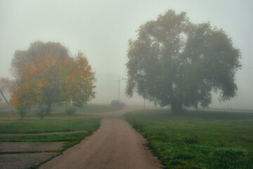 Autumn morning in the suburbs, asphalt roads, grass, thick fog envelops the trees, you can see a passing car