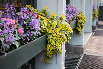 A city building window box ledge full of colorful spring flowers