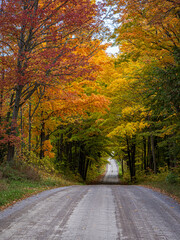 country road in autumn