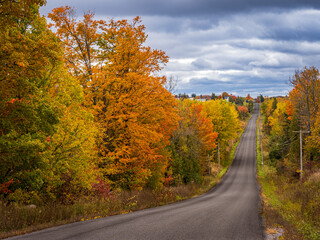 country road in autumn after rain
