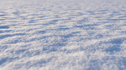 Winter snow surface with shiny snowflakes under sunlight. Close-up view. Natural abstract winter background. Snowy white texture.