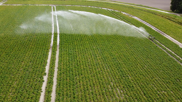 DCIM\101MEDIA\DJI_0178.JPG