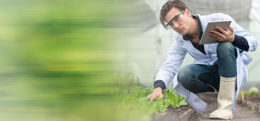 Portrait of handsome agricultural researcher holding tablet while working on research at plantation in industrial greenhouse. Panorama image use for cover design.