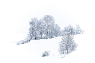 Winter landscape of the Lesser Poland countryside