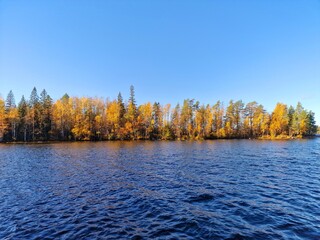 autumn in the forest,  forest water reflection 