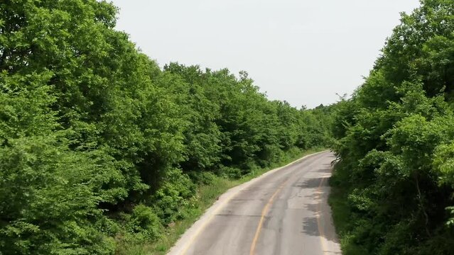 Istanbul Kilyos road aerial view in the morning, narrow road with dense trees, oe01