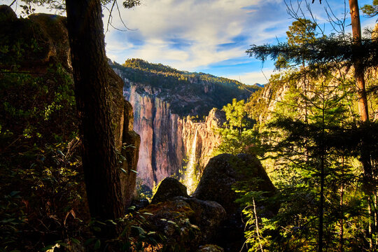 view of waterfall in canyon across of green forest at sunset, basaseachi chihuahua