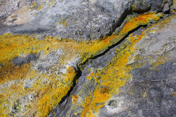 Sulphuric water stream with sulfur in the crater area of Whakaari, White Island volcano in new Zealand
