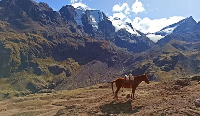 Photo sur Plexiglas Anti-reflet Vinicunca Small mountain horse and snowy range near Rainbow Mountain  in Vinicunca, Cusco Region, Peru.