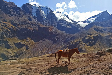 Small mountain horse and snowy range near Rainbow Mountain  in Vinicunca, Cusco Region, Peru.