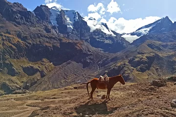 Papier Peint photo autocollant Vinicunca Small mountain horse and snowy range near Rainbow Mountain  in Vinicunca, Cusco Region, Peru.
