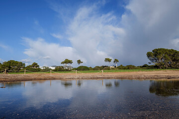 place of the mass grave of the dead republican militiamen, Sa Coma beach, Son Servera, Majorca, Balearic Islands, Spain