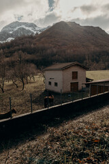 Nieve en las montañas de Asturias. Ruta del Alba. Bonito paisaje