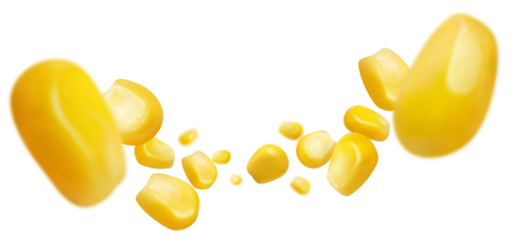 Flying corn seeds cut out