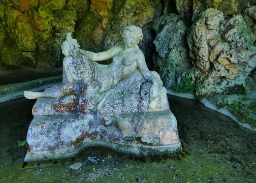 Le nymph&eacute;e abritant la source principale de la Seine