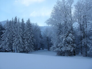 Paysage sous la neige en hiver - Un jour au ski dans une station de sports d'hiver en France - Une bouffée d'oxygène en pleine nature