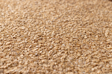 Oatmeal background, tilt-shift