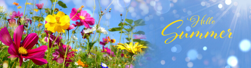 Hello summer background - Beautiful wildflower meadow with sunbeams and bokeh lights against blue sky - summer season greeting card
