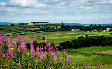 Scenic View of Invergordon, Scotland