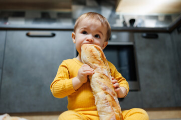 A cute one-year-old boy is sitting in the kitchen and eating a long bread or baguette in the...