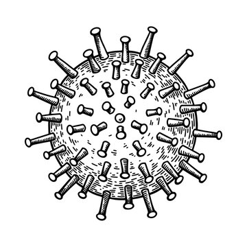 Hand drawn cytomegalovirus isolated on white background. Realistic detailed scientifical vector illustration in sketch stile