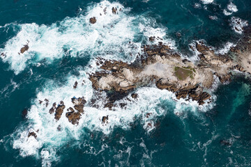 The cold, nutrient-rich waters of the Pacific Ocean wash against the rugged coast of Central...