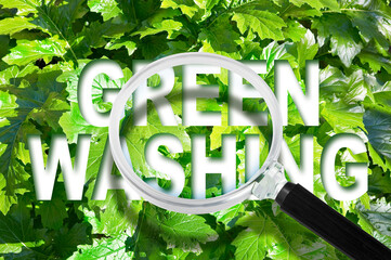 Alert to Greenwashing - concept with text against a green plant and magnifying glass