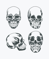 human skull head vector illustration