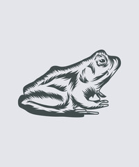 illustration of a silhouette of a frog