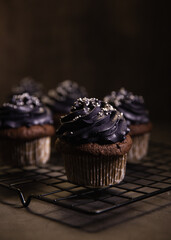 Dark chocolate cupcakes on black oven rack