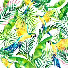 A tropical composition of palm branches and a yellow Macaw parrot. Watercolor illustration. Exotic birds. Monstera. Banana leaves.
