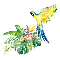 Fototapeta premium A tropical composition of palm branches and a yellow Macaw parrot. Watercolor illustration. Exotic birds. Monstera. Banana leaves. Plumeria. Strelitzia.