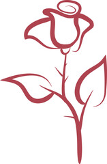 Red rose sketch