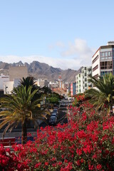 Paisaje cotidiano en tenerife 