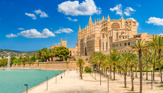 Parc de la Mar with La Seu Cathedral and behind it the Almudaina Palace, Palma de Mallorca - 4046