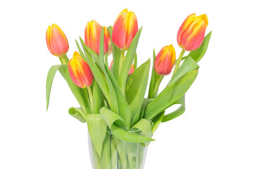 Bouquet of tulips isolated on a white background