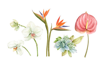 Botanical watercolor set with tropical flowers, for wedding invitations, decor and design.