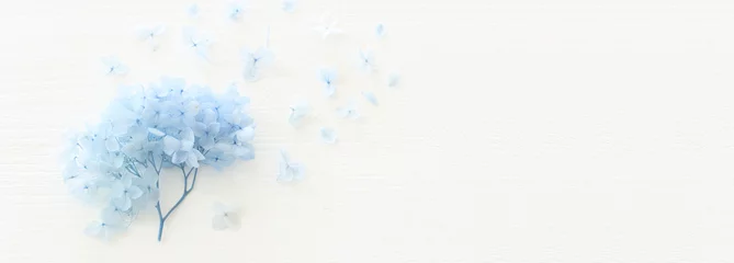 Fotobehang Top view image of blue Hydrangea flowers over white wooden background .Flat lay © tomertu