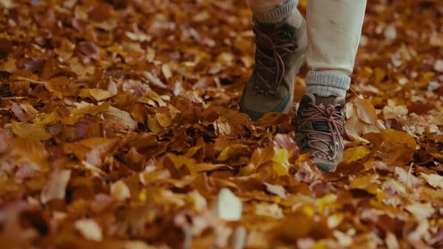 Hiking boots walk on fallen autumn foliage leaves. Walking in forest on warm and cozy day. Colorful and beautiful moment, change of season. 