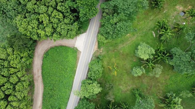 a drone clip of a road between trees and nature, hill, mountains, rain forest, travel, mexico, latin america, trees, rainforest, puebla, cuetzalan, travel, mexico travel
