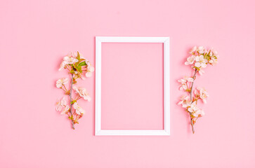 Apricot branch around a white frame on a pink background with space for text.