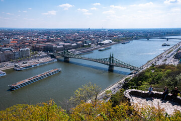 Fototapeta premium Freiheitsbrücke, Budapest