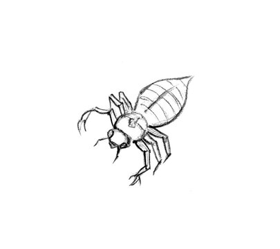 Pencil drawing. 3 Egyptian plague. Invasion of midges