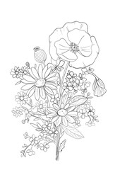 hand drawn flowers poppy