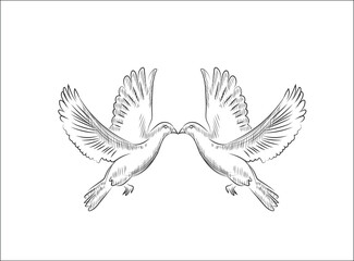 Hand drawn sketch of two flying doves. vector illustration Doves as a symbol of love. Wedding theme. Celebration and festivities. Accessories for the wedding on white background 